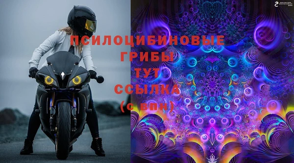 бошки Армянск