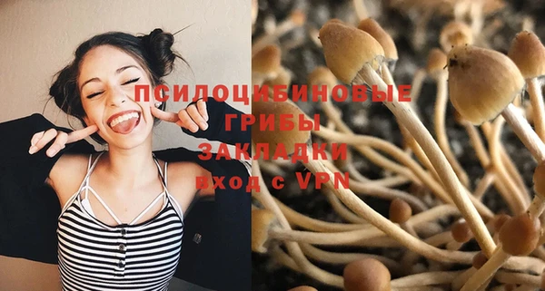 бошки Армянск