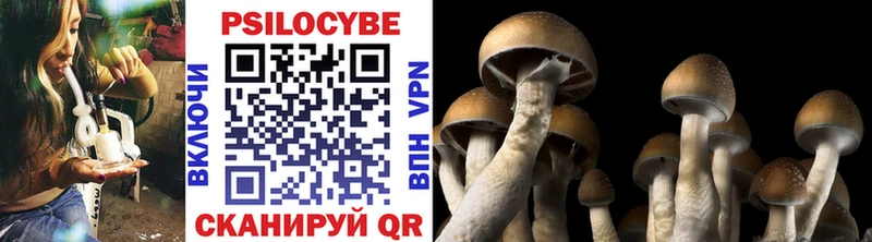 Псилоцибиновые грибы MAGIC MUSHROOMS  где купить   Тейково 